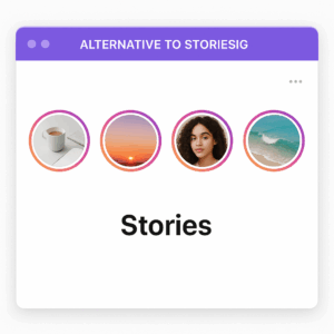 Interface d'InstaStories pour visionner des stories Instagram anonymement